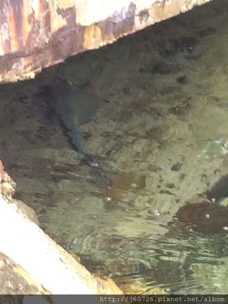 S__16187619.jpg S__16187619.jpg