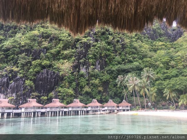 S__15589441.jpg S__15589441.jpg