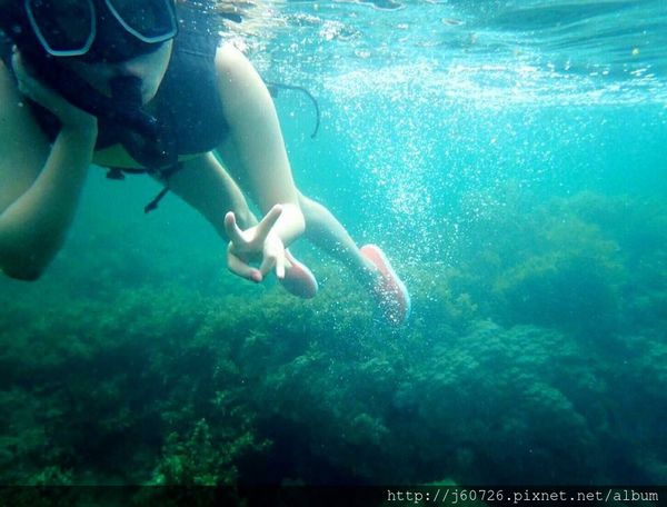 S__15589389.jpg S__15589389.jpg