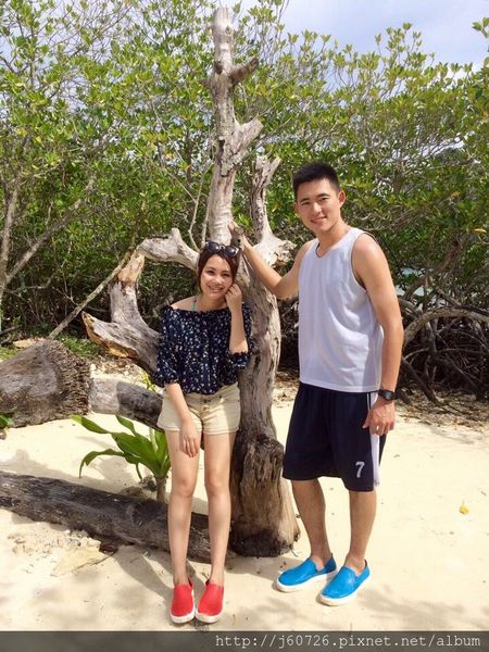 S__15728767.jpg S__15728767.jpg