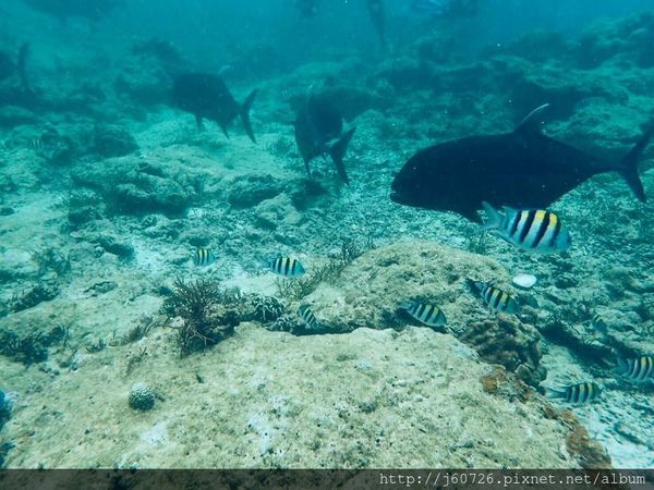 S__15589396.jpg S__15589396.jpg