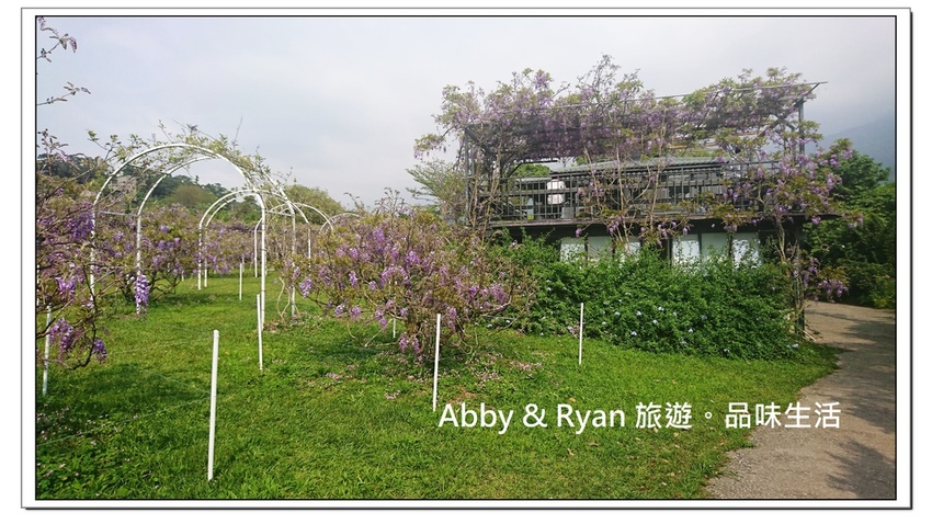 newDSC_3495.jpg newDSC_3495.jpg