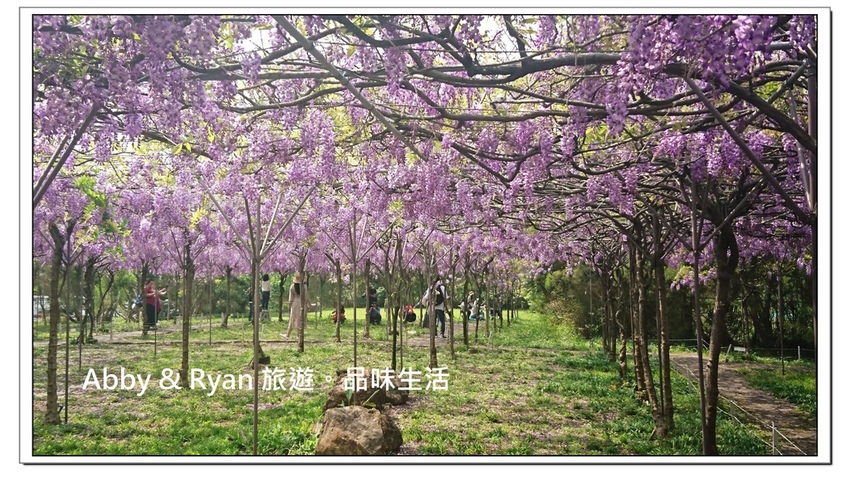 newDSC_3429.jpg newDSC_3429.jpg