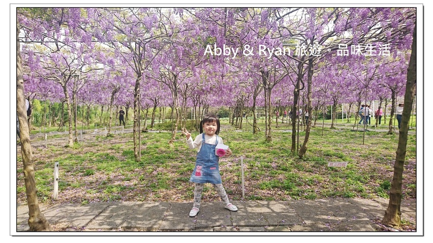 newDSC_3421.jpg newDSC_3421.jpg