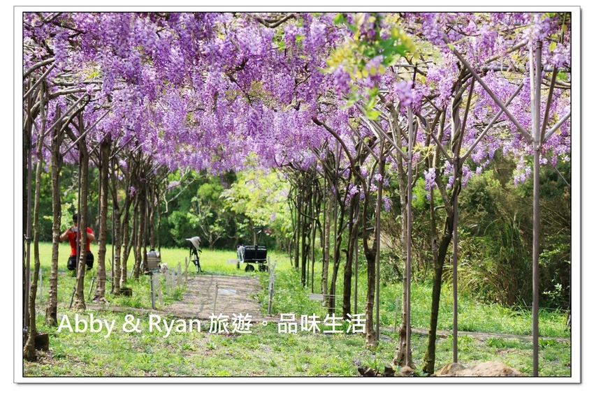 newIMG_0451.jpg newIMG_0451.jpg