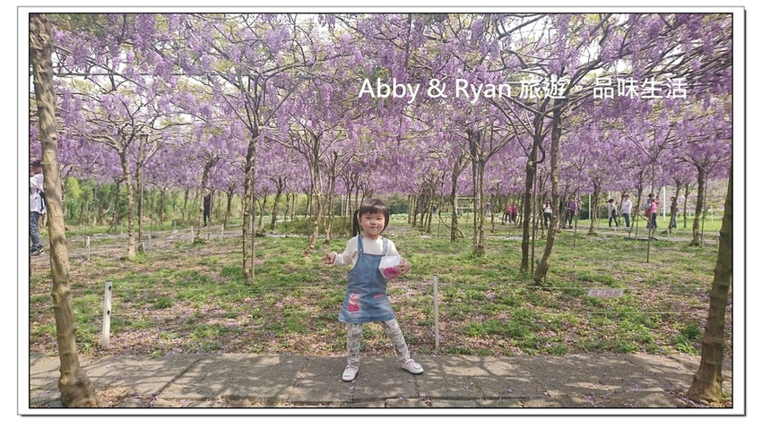 newDSC_3423.jpg newDSC_3423.jpg