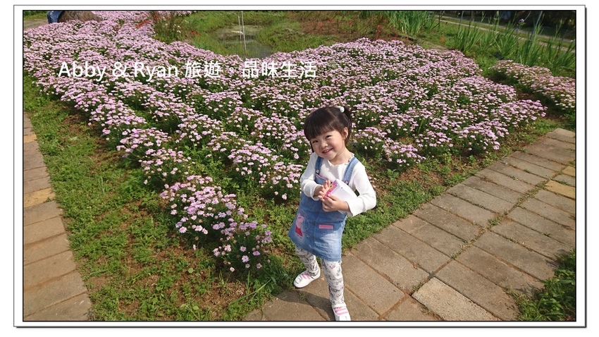 newDSC_3435.jpg newDSC_3435.jpg