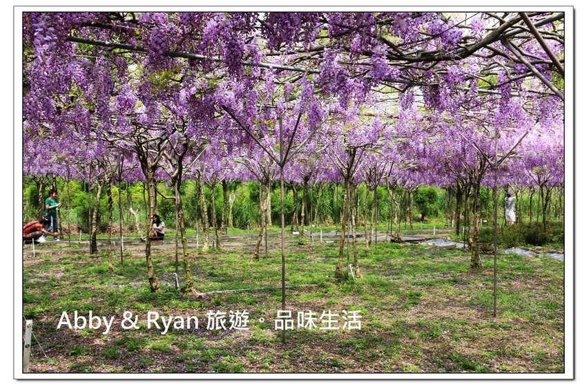 newIMG_0413.jpg newIMG_0413.jpg