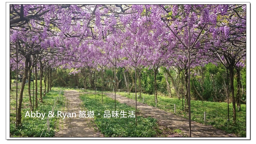 newDSC_3430.jpg newDSC_3430.jpg