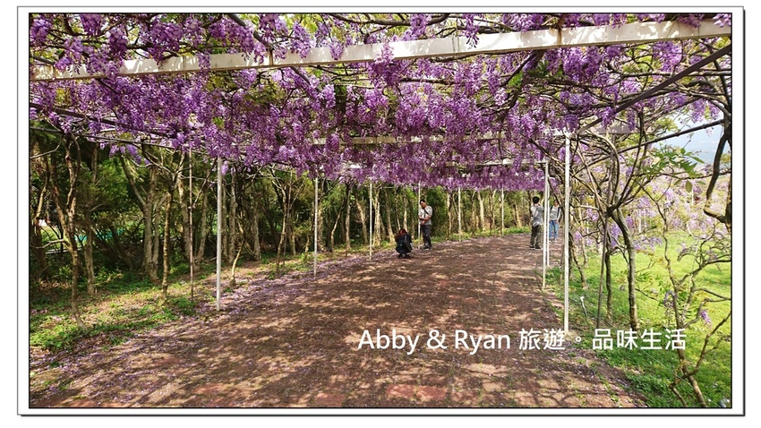 newDSC_3443.jpg newDSC_3443.jpg