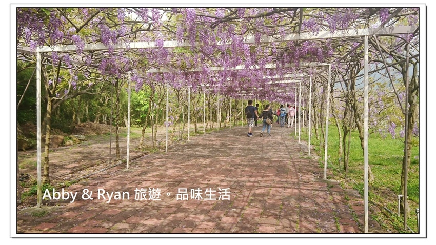 newDSC_3458.jpg newDSC_3458.jpg