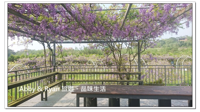 newDSC_3499.jpg newDSC_3499.jpg