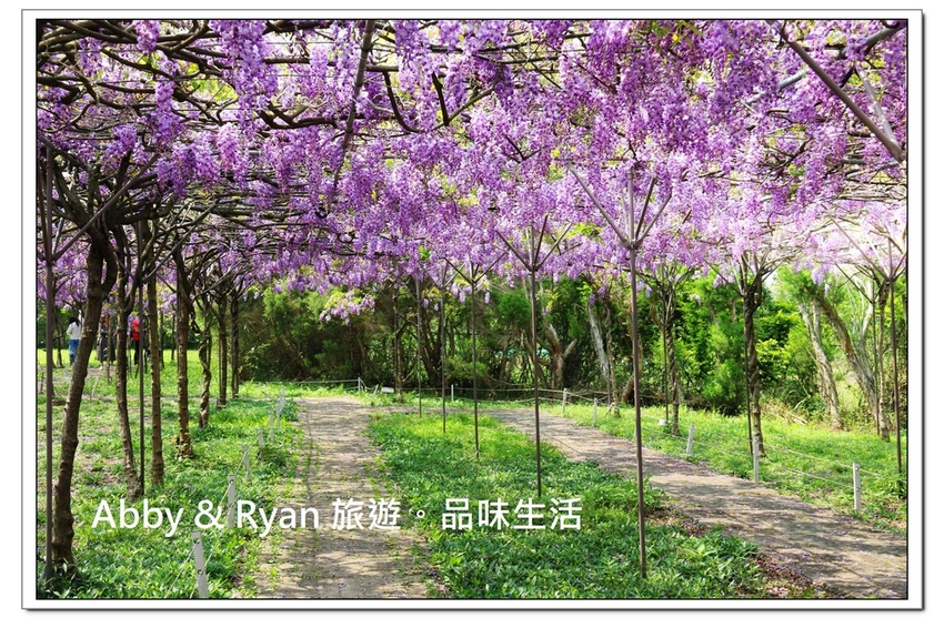 newIMG_0457.jpg newIMG_0457.jpg