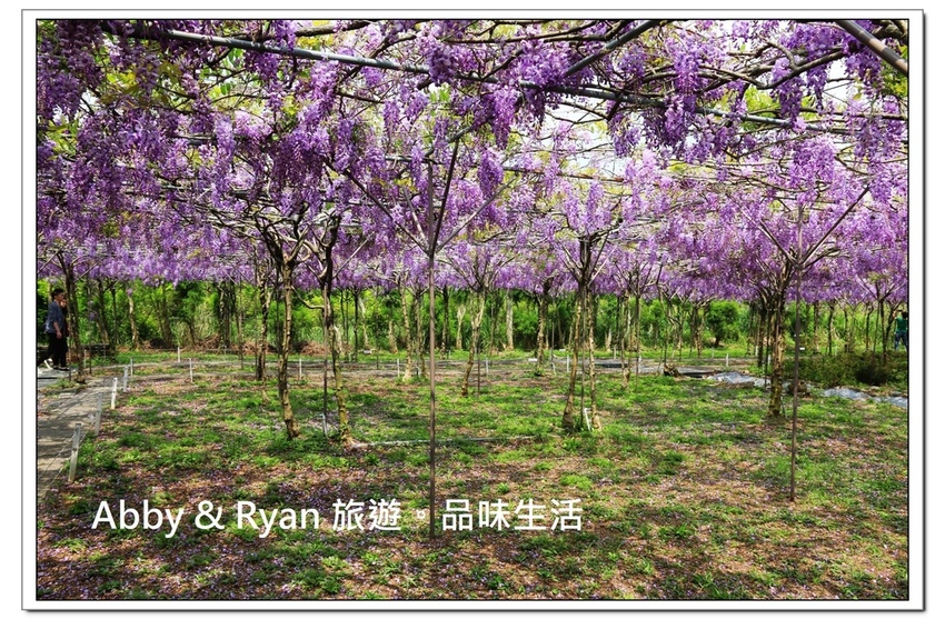 newIMG_0426.jpg newIMG_0426.jpg