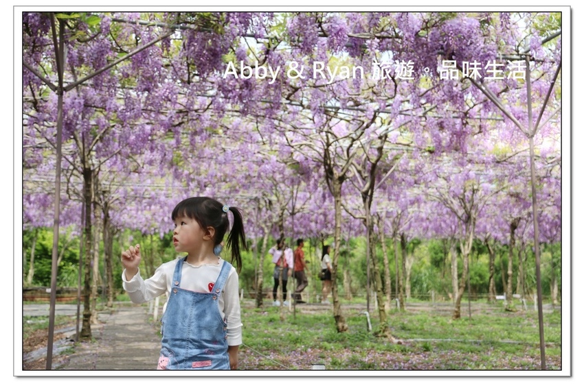 newIMG_0406.jpg newIMG_0406.jpg