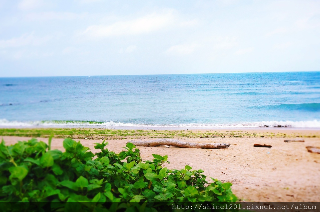 淡水亞太飯店 淡水景點 淡水美食 賞櫻紫藤花 三生步道桐花 沙崙沙灘 六塊厝漁港 老梅綠石槽