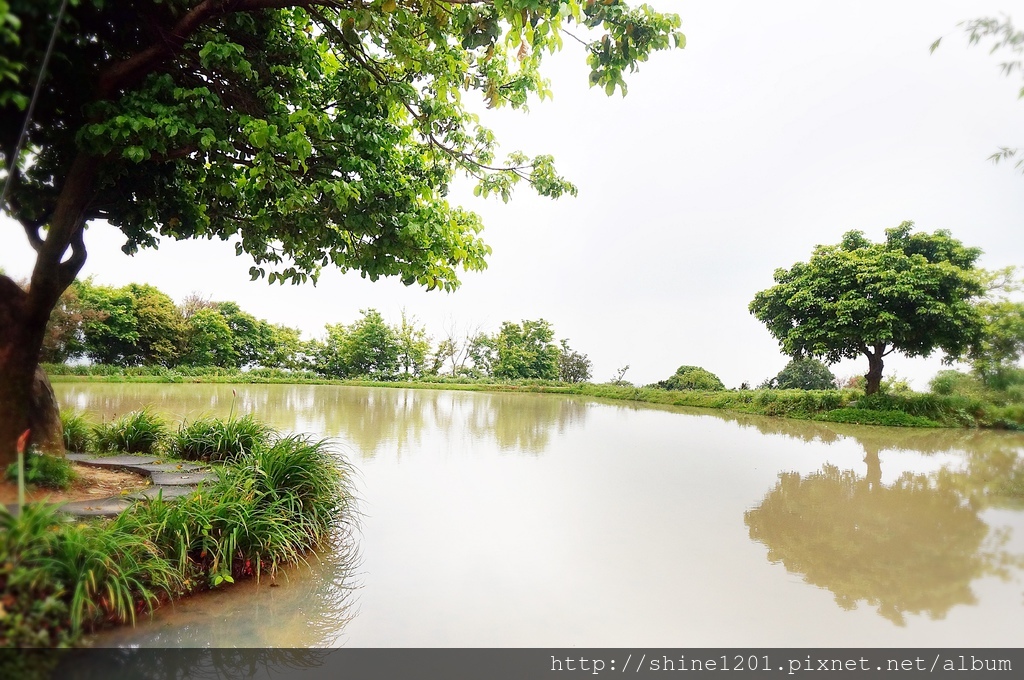 淡水亞太飯店 淡水景點 淡水美食 賞櫻紫藤花 三生步道桐花 沙崙沙灘 六塊厝漁港 老梅綠石槽