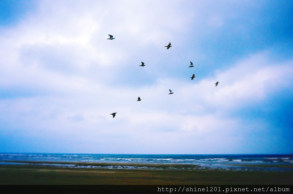 淡水亞太飯店 淡水景點 淡水美食 賞櫻紫藤花 三生步道桐花 沙崙沙灘 六塊厝漁港 老梅綠石槽