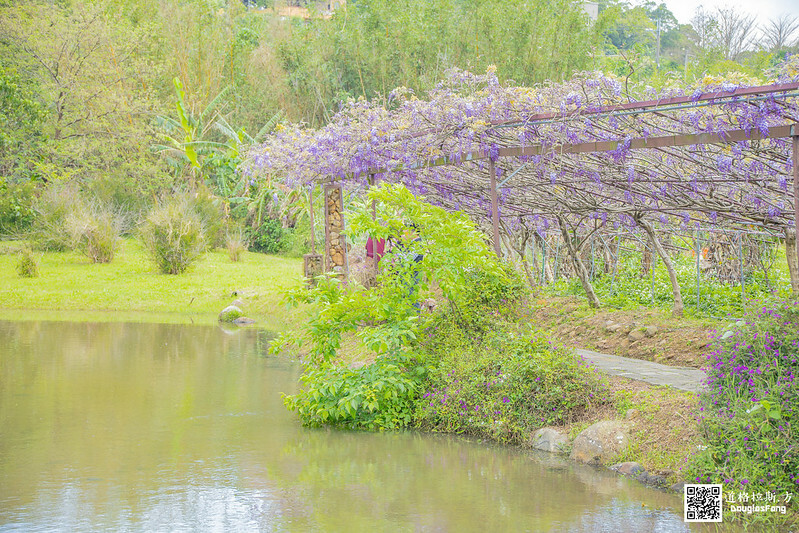 【遊記】新北淡水紫藤咖啡園(二店水源園區) (24)