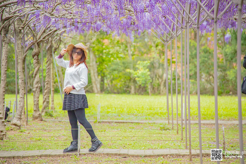 【遊記】新北淡水紫藤咖啡園(二店水源園區) (38)