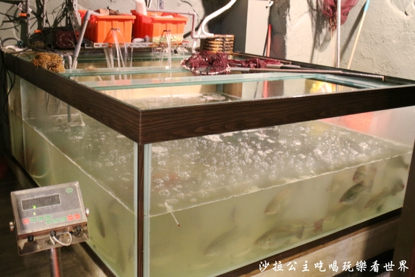 燒椒 香辣片片魚-川味麻辣:新莊美食『燒椒 香辣片片魚』麻辣魚餐廳/川味麻辣/白飯、飲料、冰淇淋吃到飽/新鮮活魚美式料理/個人商業套餐168元