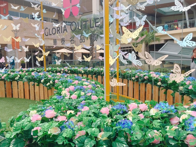 IMG_7987.JPG - 2018陽明山櫻花季