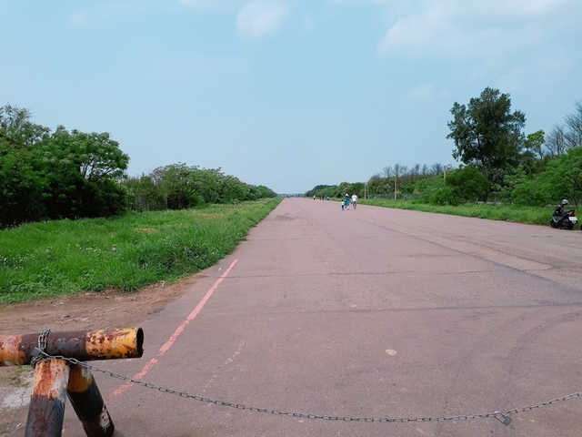 2018-03-25-11-45-42.jpg - 2018陽明山櫻花季