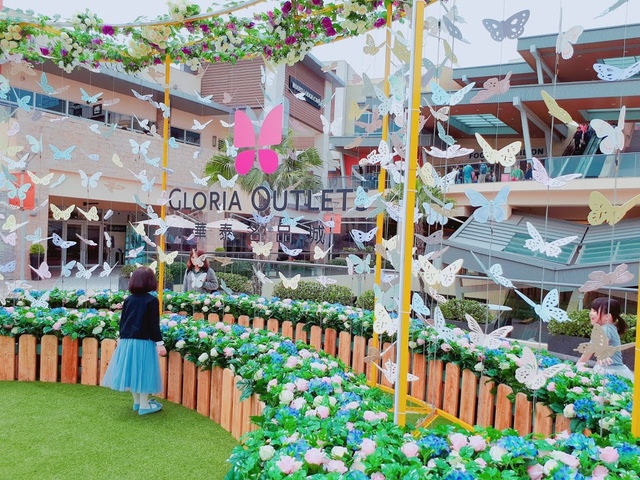 2018-03-25-13-29-24.jpg - 2018陽明山櫻花季