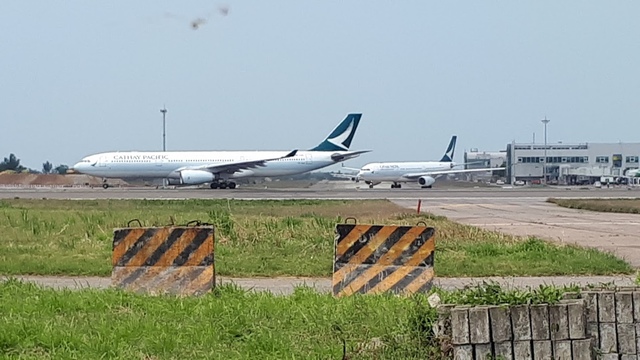 20180325_121349.jpg - 2018陽明山櫻花季