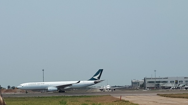 20180325_121448.jpg - 2018陽明山櫻花季