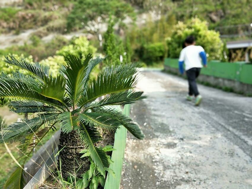 美力媽帶著孩子去露營,親子露營,湖畔露營,鯉魚潭露營,星空露營