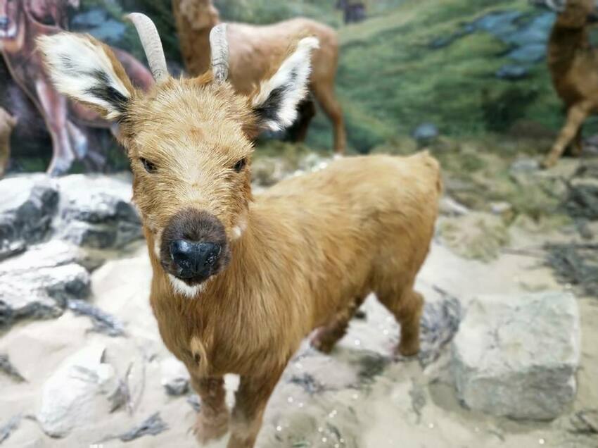 美力媽帶著孩子去露營,親子露營,湖畔露營,鯉魚潭露營,星空露營