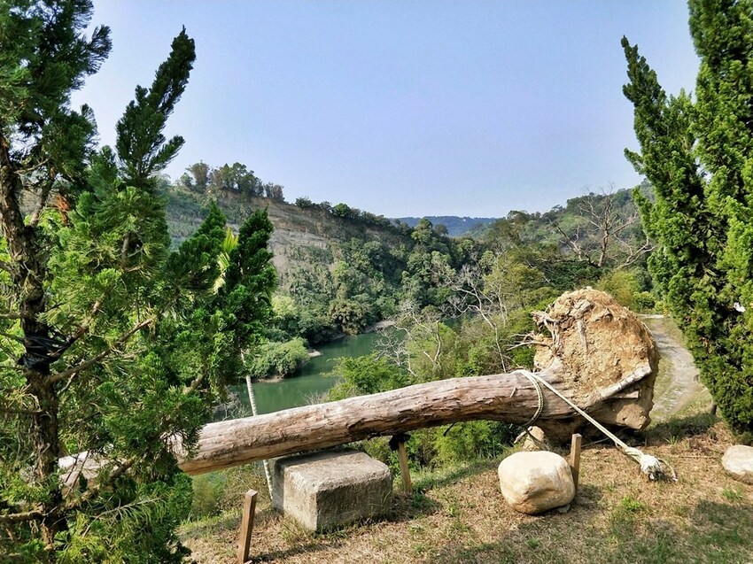 美力媽帶著孩子去露營,親子露營,湖畔露營,鯉魚潭露營,星空露營