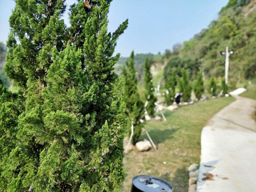 美力媽帶著孩子去露營,親子露營,湖畔露營,鯉魚潭露營,星空露營