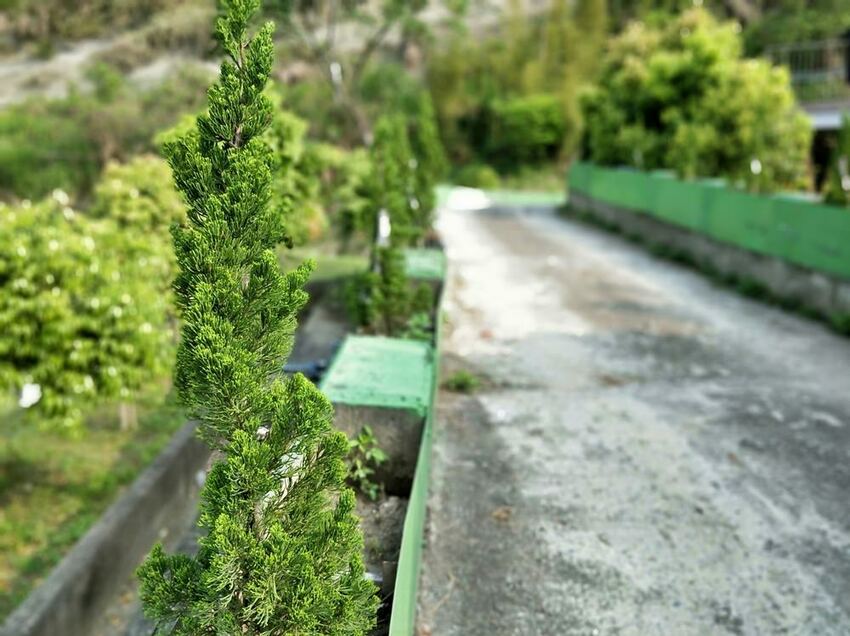 美力媽帶著孩子去露營,親子露營,湖畔露營,鯉魚潭露營,星空露營