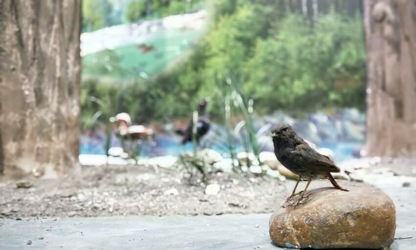 美力媽帶著孩子去露營,親子露營,湖畔露營,鯉魚潭露營,星空露營