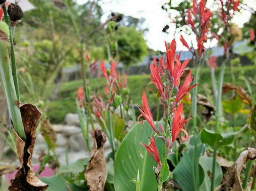 美力媽帶著孩子去露營,親子露營,湖畔露營,鯉魚潭露營,星空露營