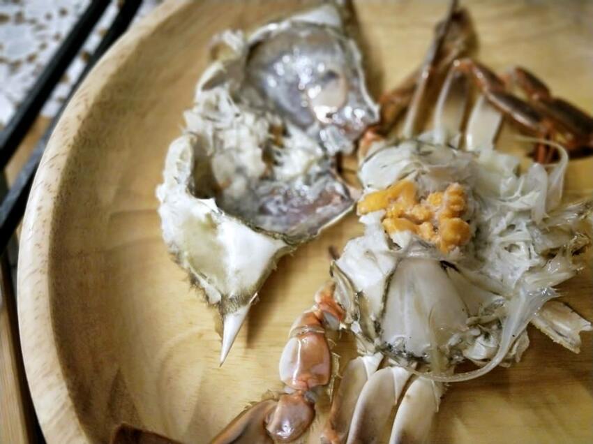 美力媽帶著孩子去露營,親子露營,湖畔露營,鯉魚潭露營,星空露營