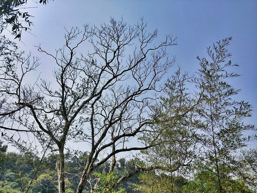 美力媽帶著孩子去露營,親子露營,湖畔露營,鯉魚潭露營,星空露營