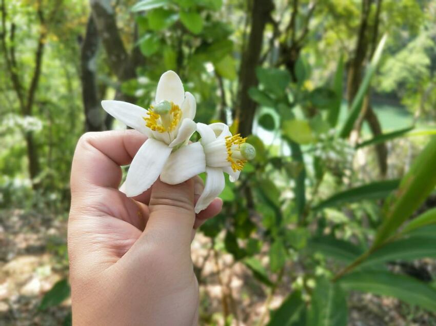 美力媽帶著孩子去露營,親子露營,湖畔露營,鯉魚潭露營,星空露營