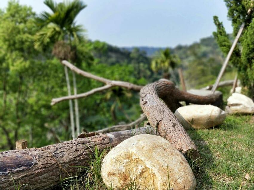 美力媽帶著孩子去露營,親子露營,湖畔露營,鯉魚潭露營,星空露營