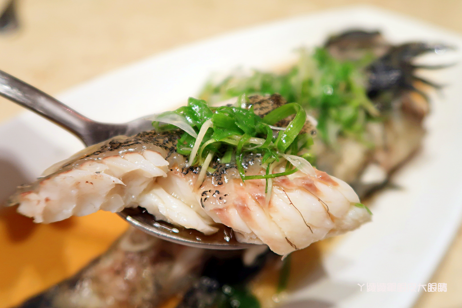 新竹港式飲茶推薦｜星上星港式飲茶，竹北店全新廚師團隊！附設停車位及親子遊戲區