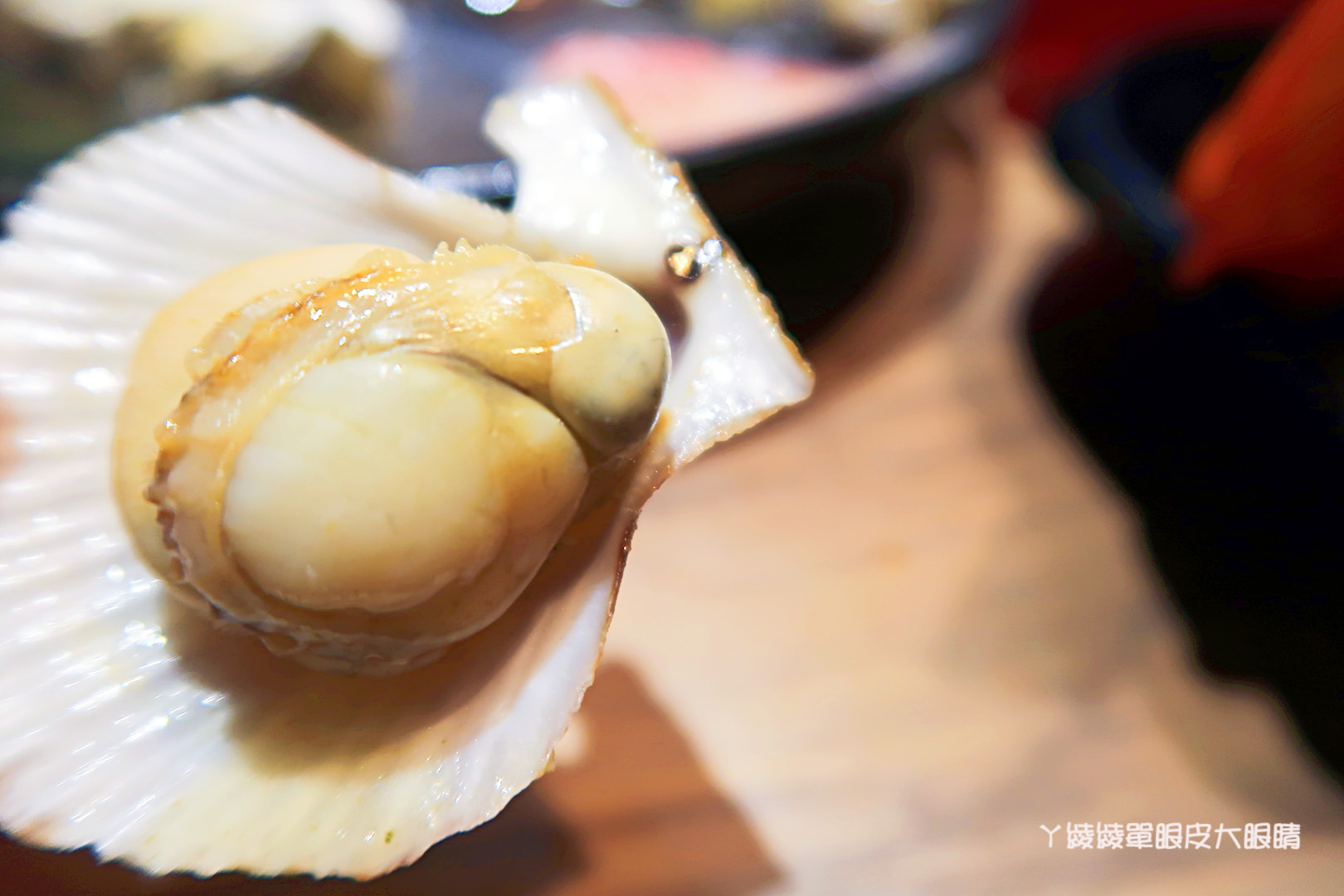 新竹火鍋推薦極鼎鮮鍋物！活跳跳的波士頓龍蝦自己撈，大肉盤吃到不要不要，巨城附近新開幕東大路上火鍋