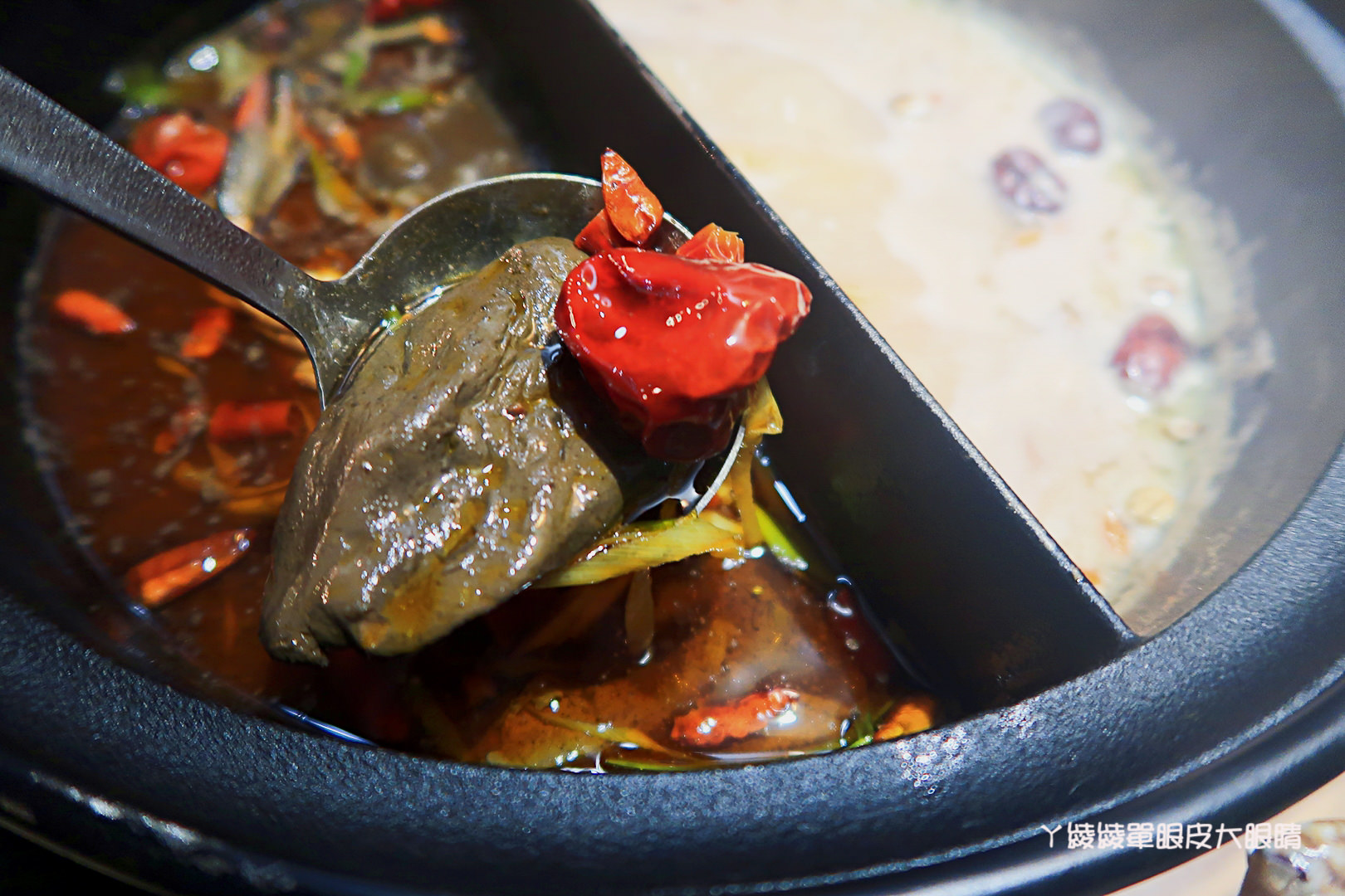 新竹火鍋推薦極鼎鮮鍋物!活跳跳的波士頓龍蝦自己撈,大肉盤吃到不要不要,巨城附近新開幕東大路上火鍋