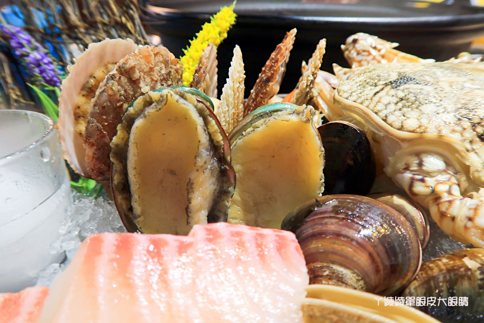 新竹火鍋推薦極鼎鮮鍋物！活跳跳的波士頓龍蝦自己撈，大肉盤吃到不要不要，巨城附近新開幕東大路上火鍋