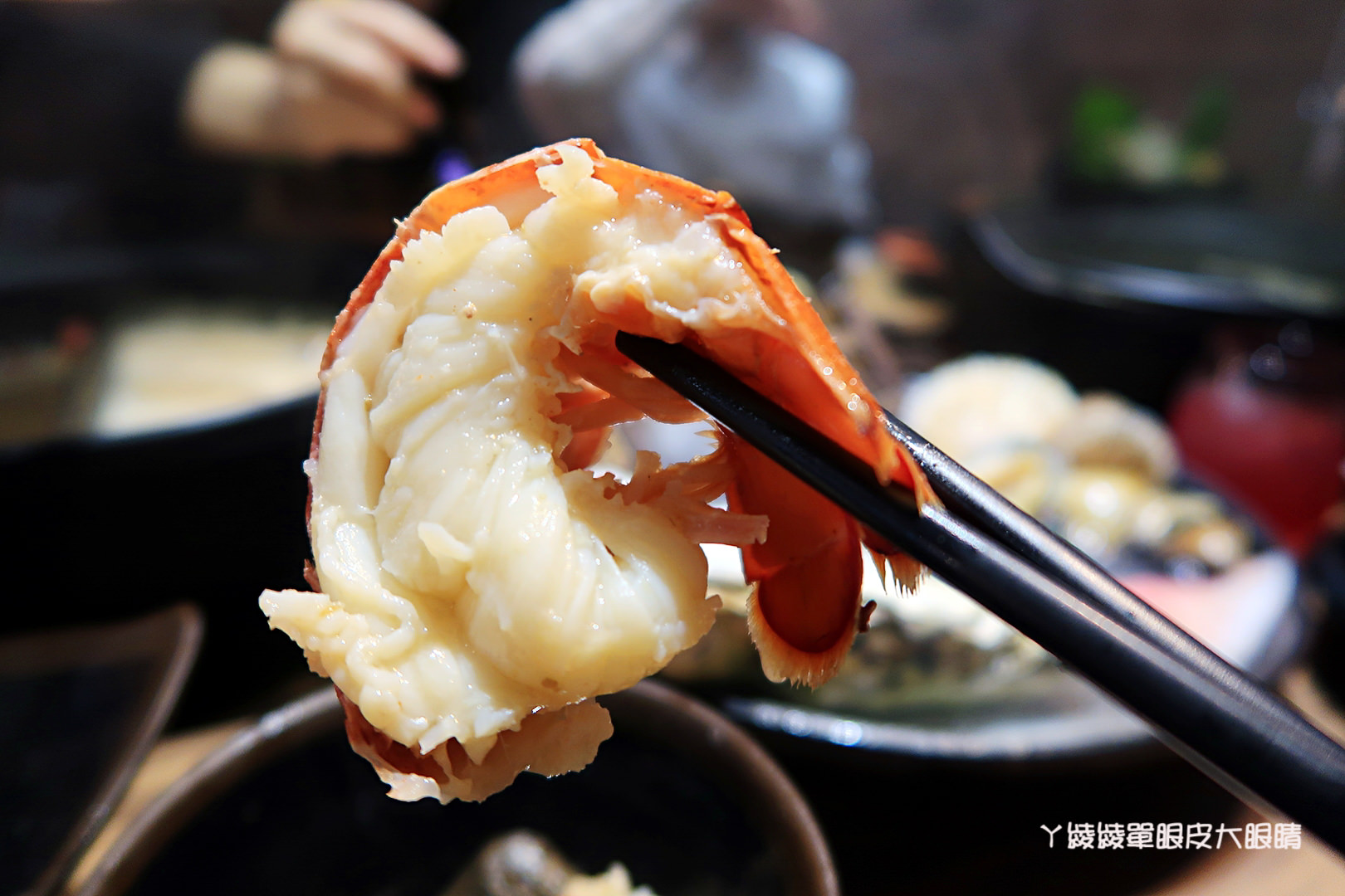 新竹火鍋推薦極鼎鮮鍋物！活跳跳的波士頓龍蝦自己撈，大肉盤吃到不要不要，巨城附近新開幕東大路上火鍋