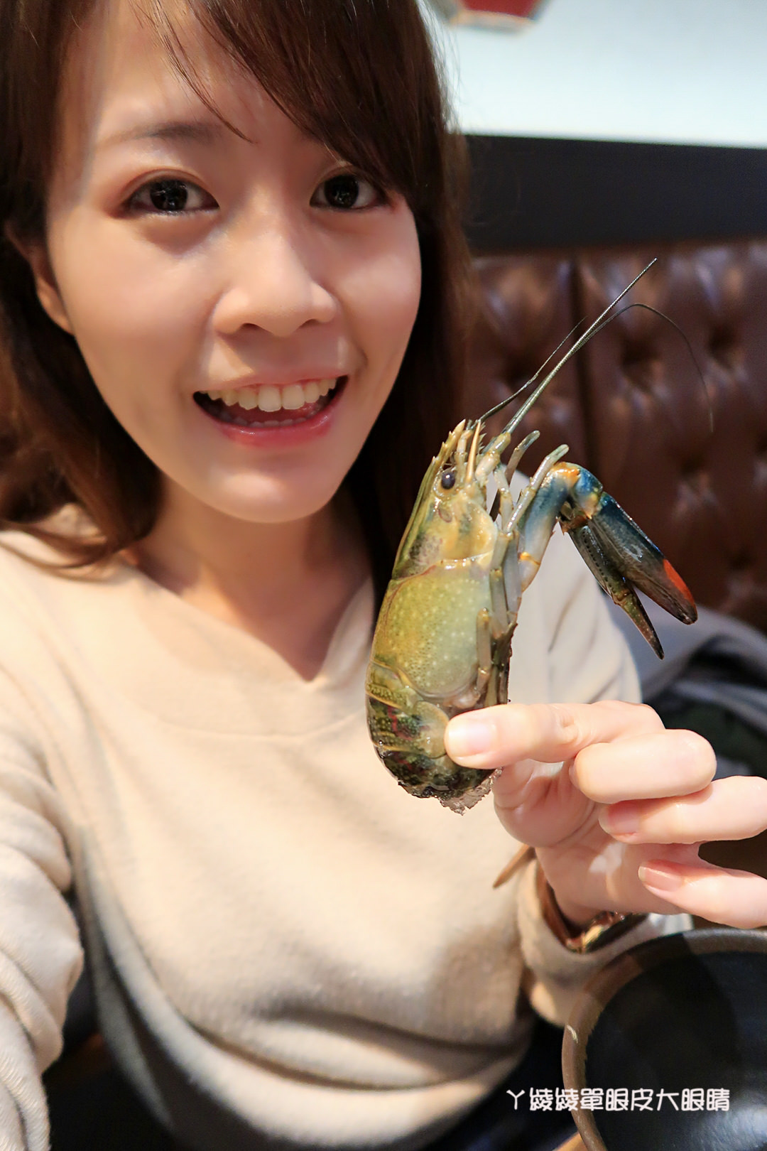 新竹火鍋推薦極鼎鮮鍋物!活跳跳的波士頓龍蝦自己撈,大肉盤吃到不要不要,巨城附近新開幕東大路上火鍋