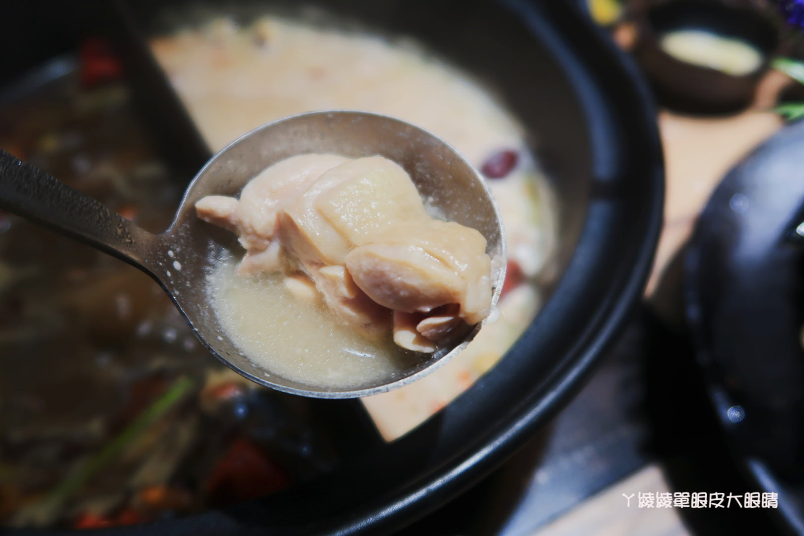 新竹火鍋推薦極鼎鮮鍋物！活跳跳的波士頓龍蝦自己撈，大肉盤吃到不要不要，巨城附近新開幕東大路上火鍋