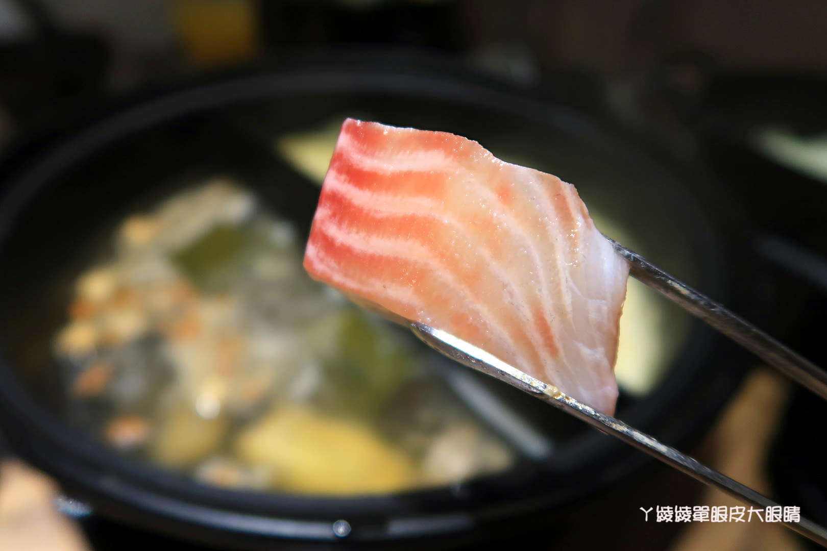 新竹火鍋推薦極鼎鮮鍋物！活跳跳的波士頓龍蝦自己撈，大肉盤吃到不要不要，巨城附近新開幕東大路上火鍋