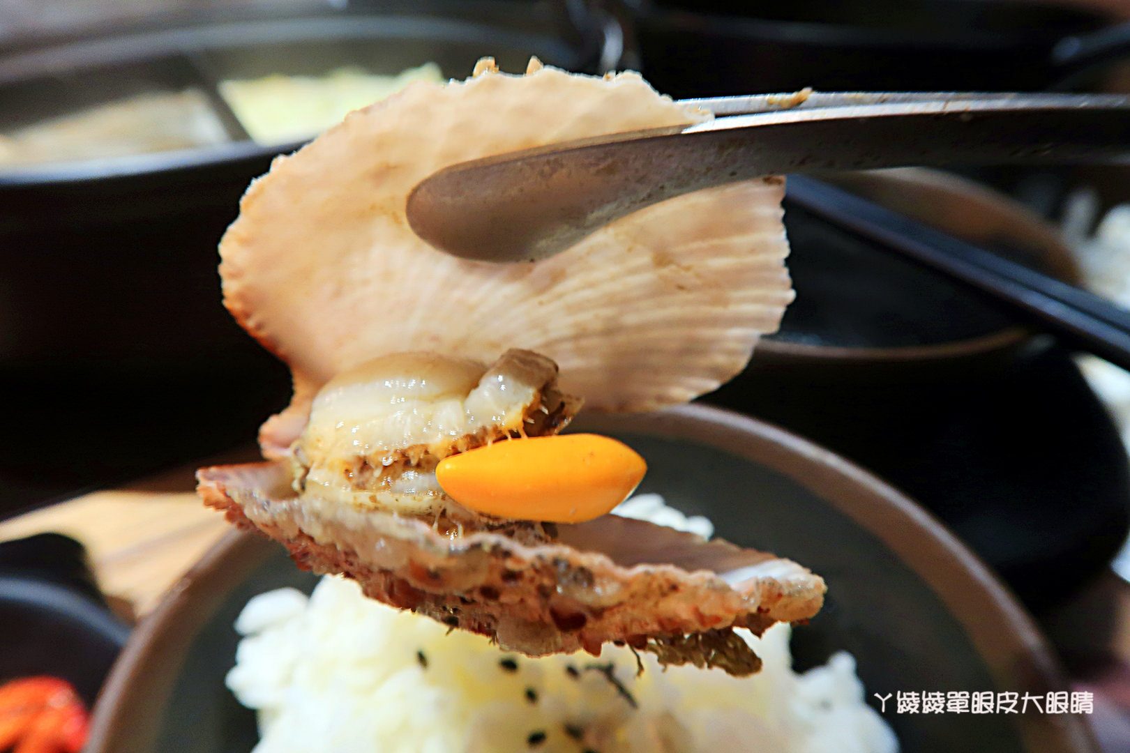 新竹火鍋推薦極鼎鮮鍋物!活跳跳的波士頓龍蝦自己撈,大肉盤吃到不要不要,巨城附近新開幕東大路上火鍋